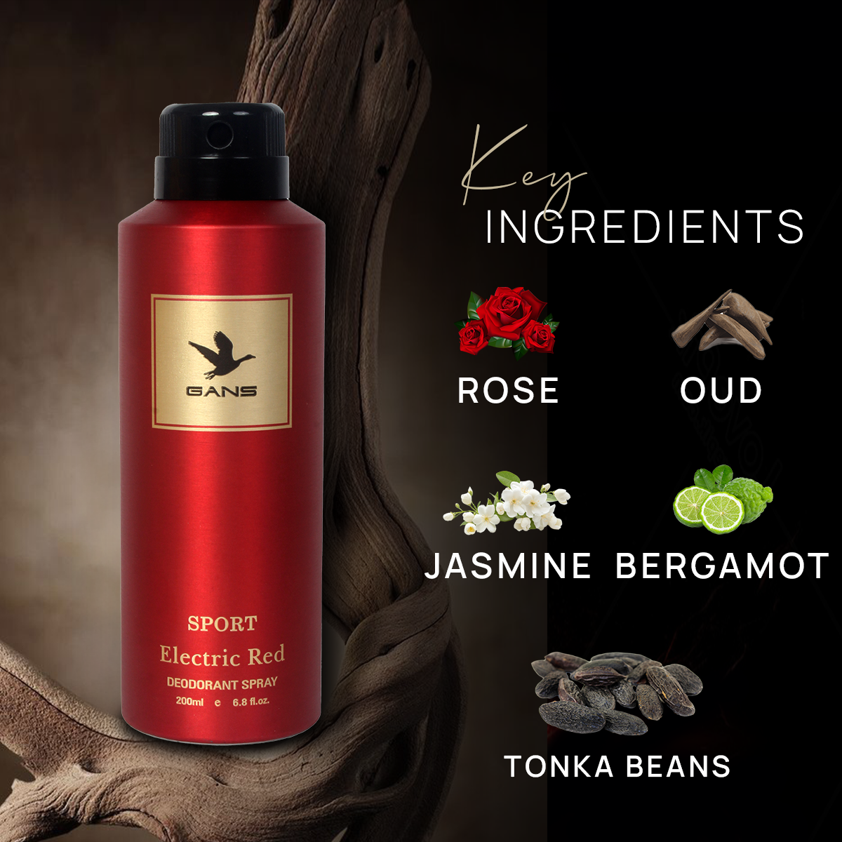 GANS Electric Red Perfume Deodorant Spray – 200ml